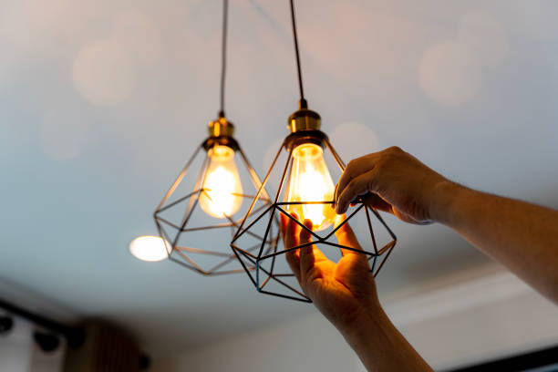 Best Outdoor Lighting Installation  in Cottage Grove, MN